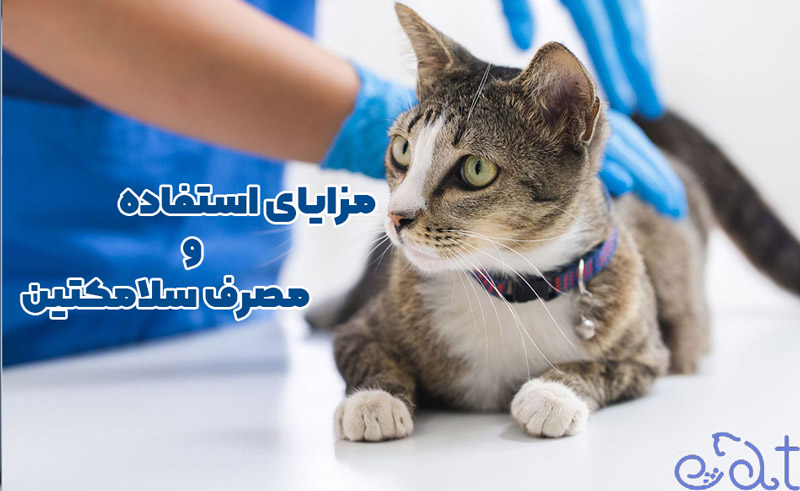بهترین قرص ضد انگل سگ و گربه چیست؟