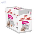 پوچ سگ اگزیجنت رویال کنین مدل Royal Canin Dog Exigent وزن 85 گرم