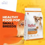 غذای خشک سگ بالغ رفلکس نژاد کوچک با طعم مرغ و برنج مدل Reflex Adult Chicken And Rice وزن 15 کیلوگرم