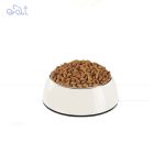 غذای خشک سگ بالغ رفلکس نژاد کوچک با طعم مرغ و برنج مدل Reflex Adult Chicken And Rice وزن 15 کیلوگرم