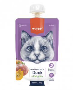 Duck-Pumpkin-Wanpy