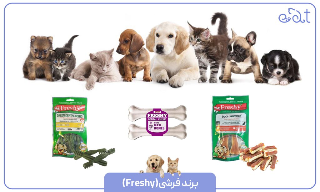 فرشی (Freshy)