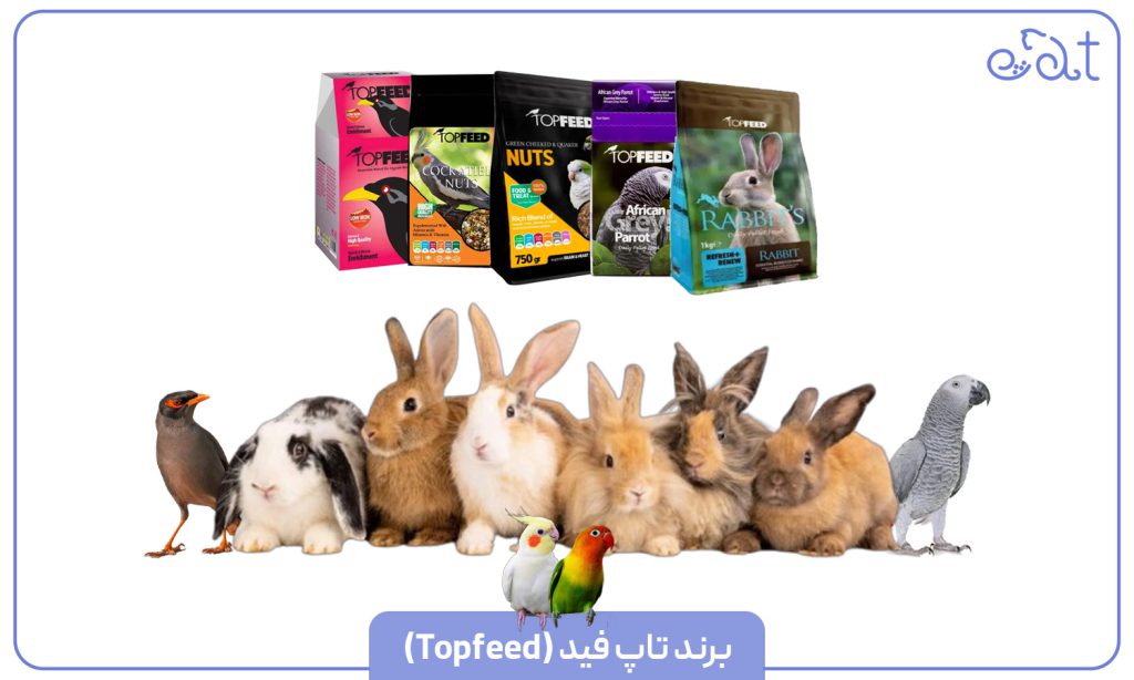 تاپ فید (Topfeed)