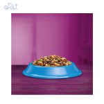 غذای خشک گربه بالغ ویسکاس با طعم ماهی تن مدل Whiskas With Ton وزن 1/4 کیلوگرم