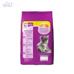 غذای خشک گربه ویسکاس با طعم مرغ مدل Whiskas With Chicken وزن 1/4 کیلوگرم