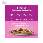 پوچ گربه ویسکاس طعم گوشت و سبزیجات در ژله مدل Whiskas Cat Beef & Vegteble وزن 75 گرم