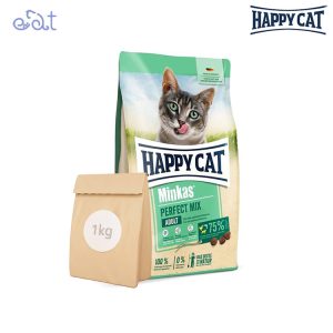 Happy cat finall