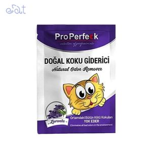 p6.1