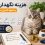 هزینه نگهداری گربه