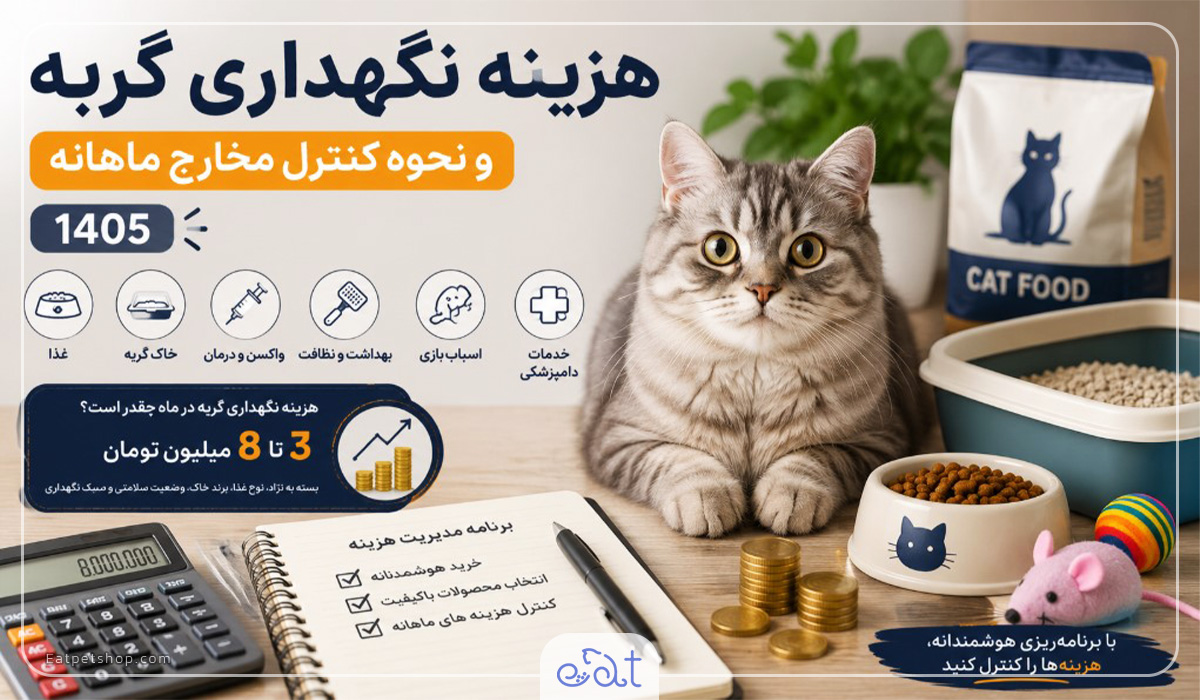 هزینه نگهداری گربه