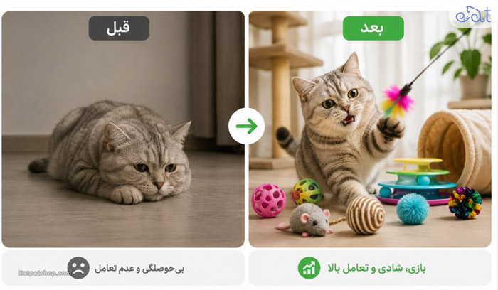 تاثیر اسباب بازی بر گربه