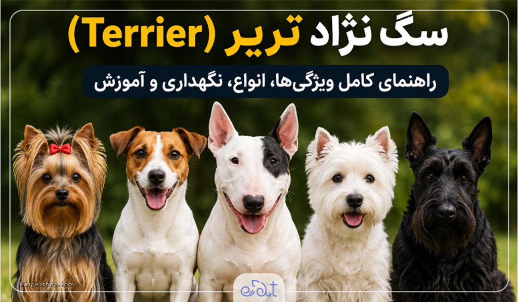 سگ نژاد تریر
