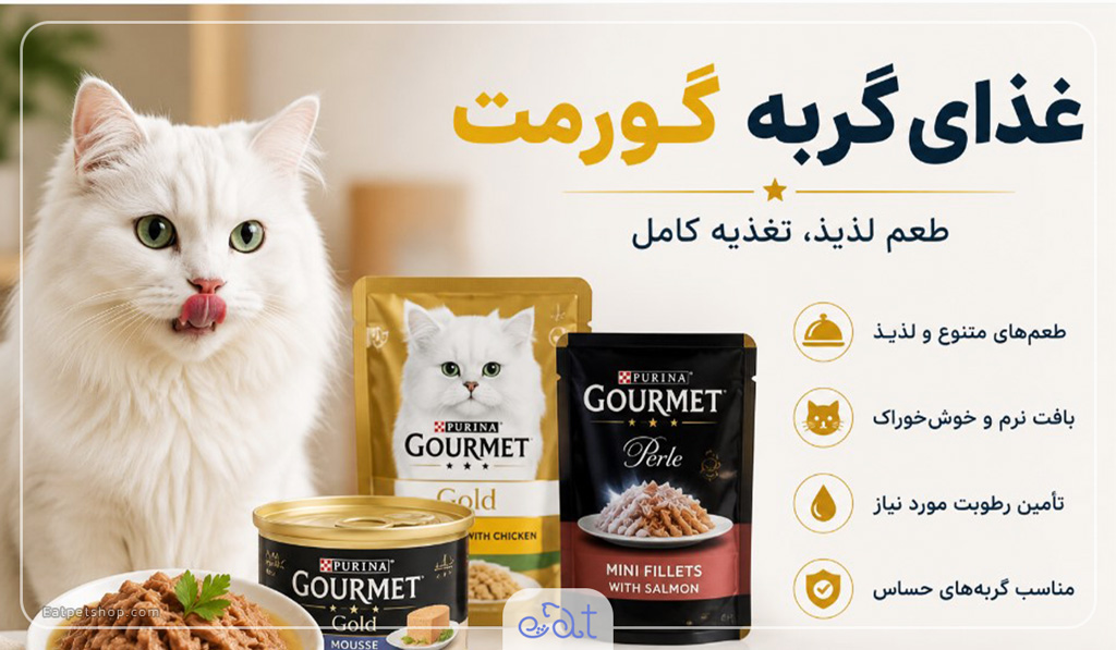 غذلی گربه گورمت