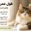 طول عمر گربه