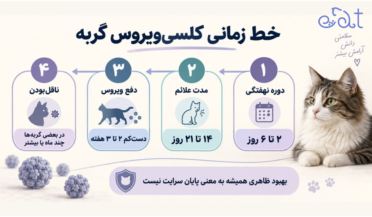 خط زمانی کلسیویروس گربه