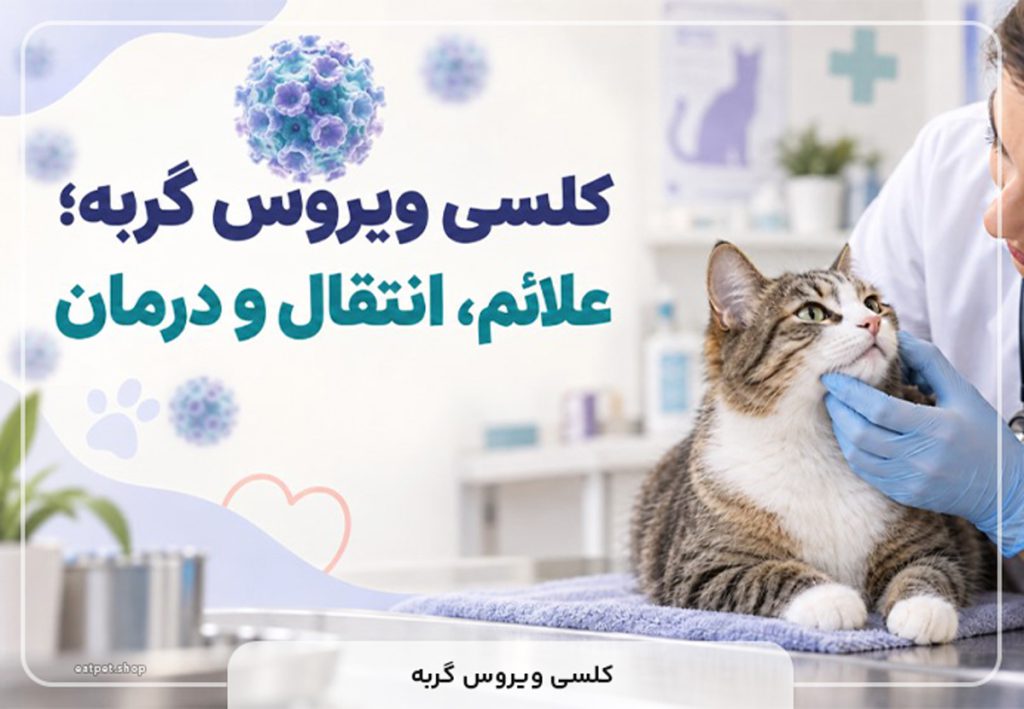 ویروس کلسی گربه