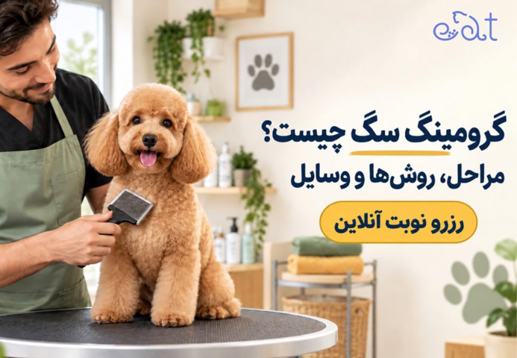 گرومینگ سگ