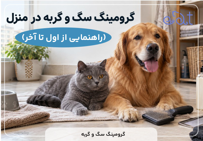 گرومینگ سگ و گربه در منزل