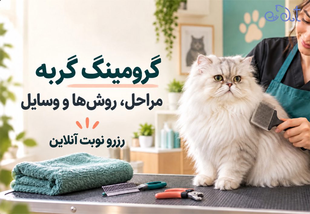 گرومینگ گربه