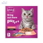 غذای خشک گربه بالغ با طعم ماهی تن و ماهی سالمون مدل Whiskas Adult Cat Tuna & Salmon وزن 1.2 کیلوگرم